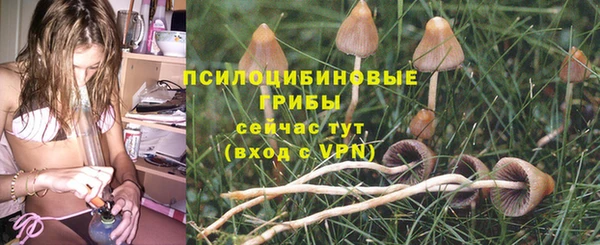 скорость Балахна