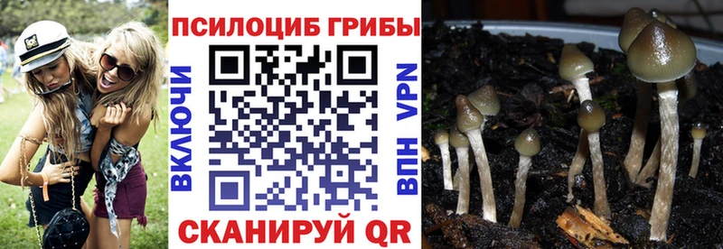 Галлюциногенные грибы Psilocybine cubensis  mega сайт  Староминская 